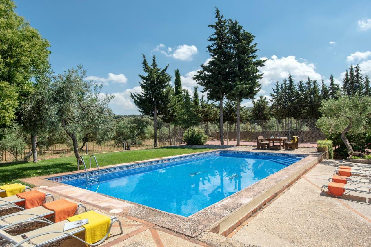 Hacienda Olivos *
